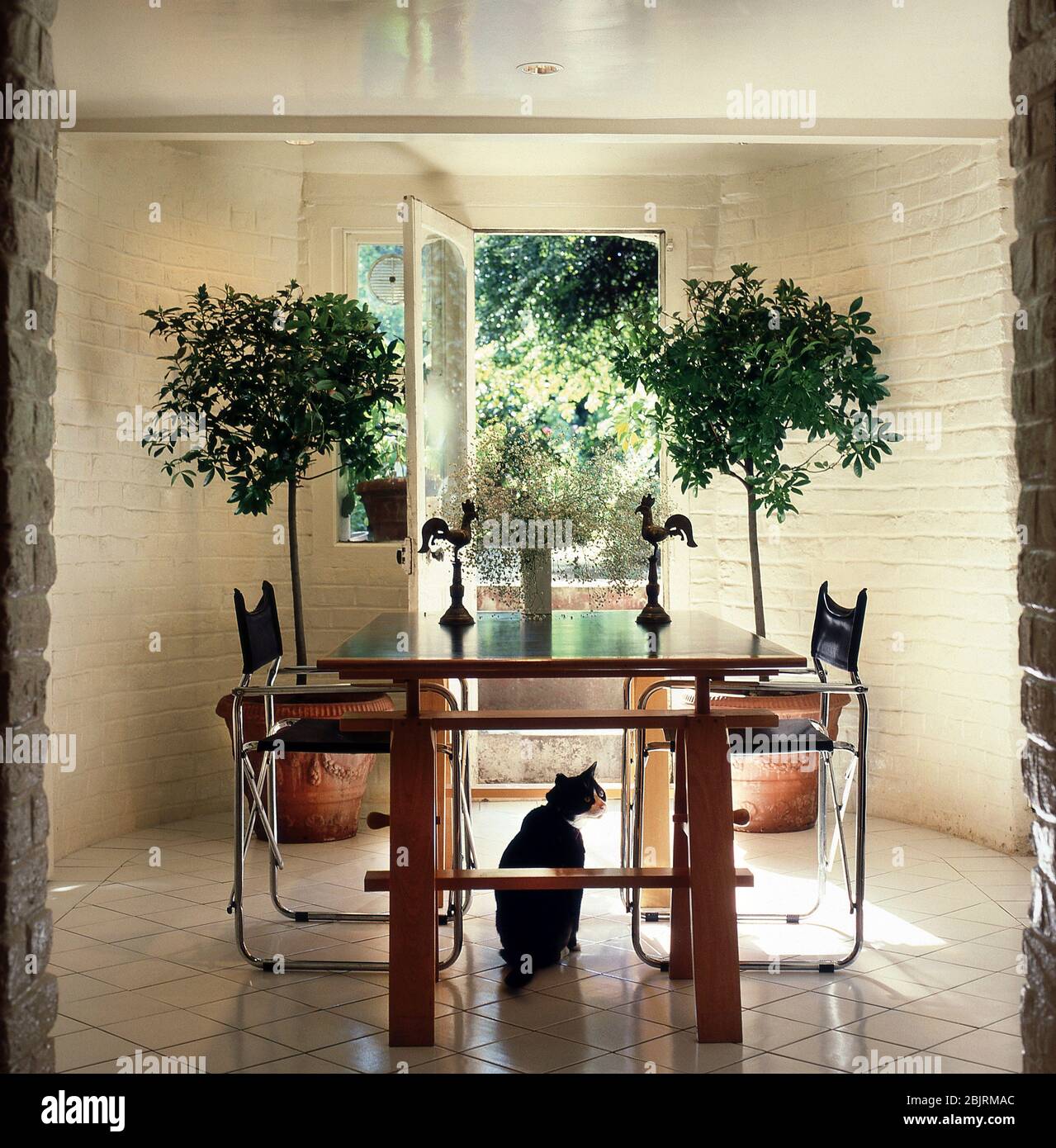 Salle à manger avec un chat sous la table Banque D'Images