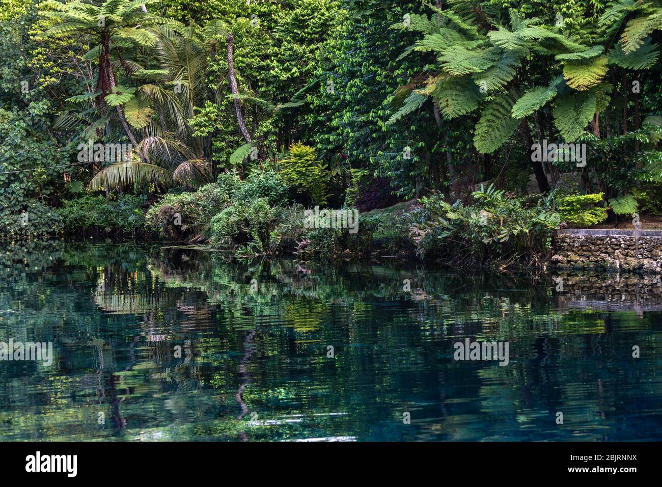 Forêt luxuriante feuillage vert sur lac d'eau douce lagon bleu Espirito Santo île Vanuatu Océanie Banque D'Images