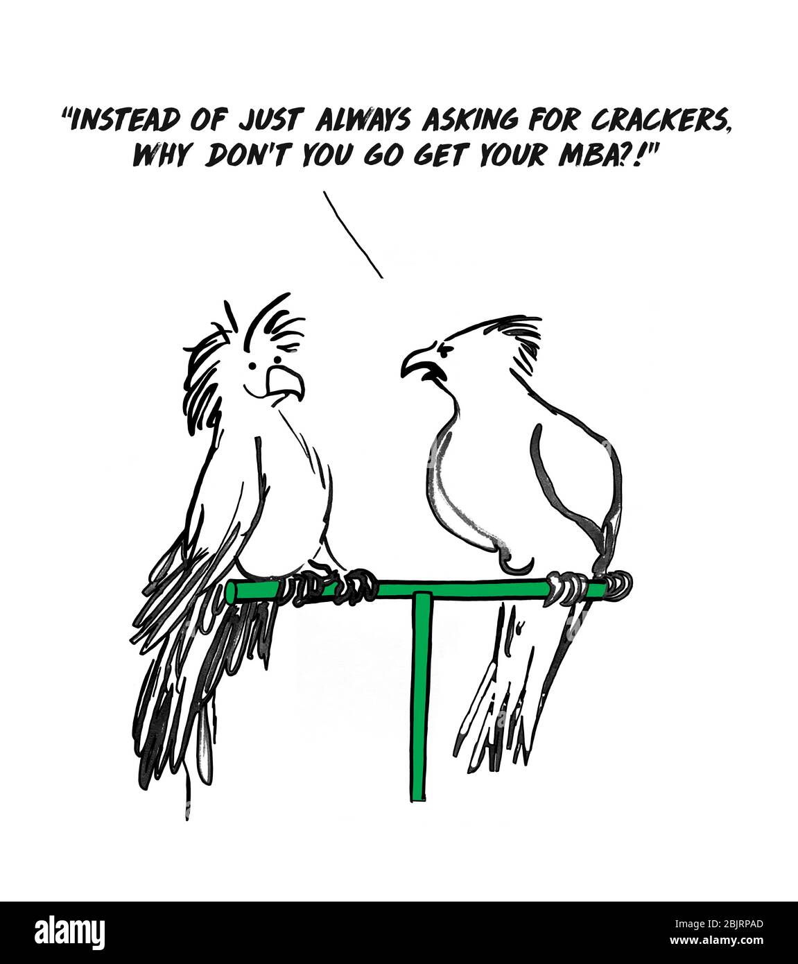 Caricature sur l'avancement de carrière, un parakeet dit à l'autre d'aller obtenir son MBA. Banque D'Images