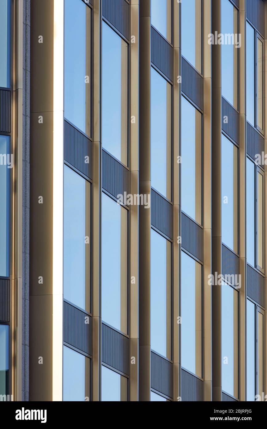 Détail de revêtement anodisé en bronze métallique autour des fenêtres. 75 Farringdon Road, Londres, Royaume-Uni. Architecte: Buckley Gray Yoeman, 2019. Banque D'Images