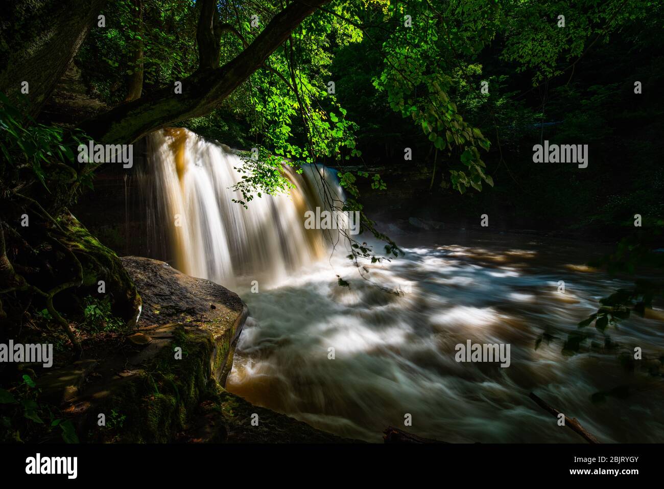 La lumière du soleil se déchit à travers la forêt qui surpasse les chutes Claypool sur Meadow Creek en Virginie occidentale. Banque D'Images