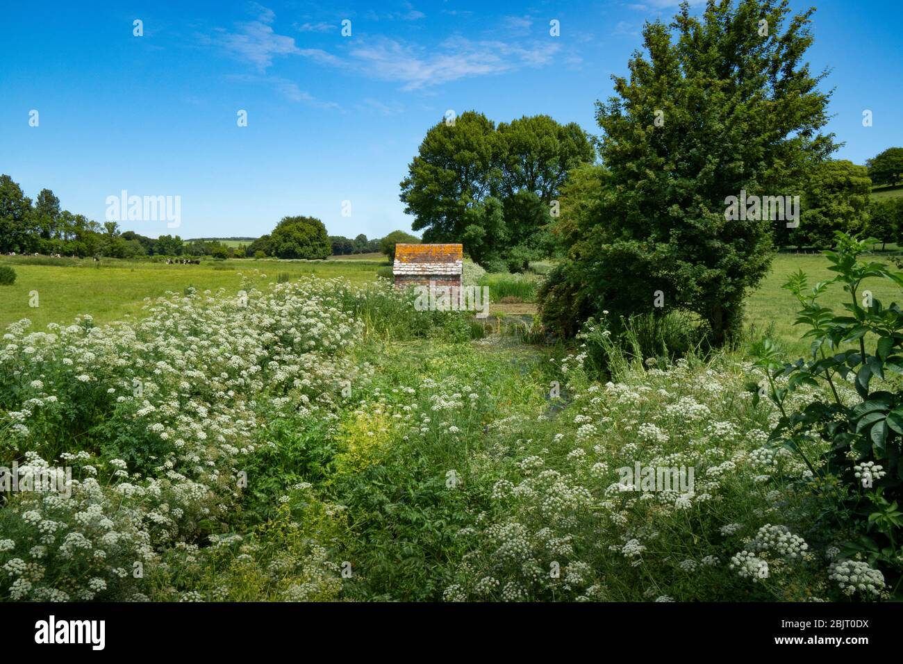 Vieille maison de pompe et de bint de pierre et de wir dans la Tarrant de rivière à l'herbe-choked à Tarrant Rawston près de Blandford à Dorset. Banque D'Images