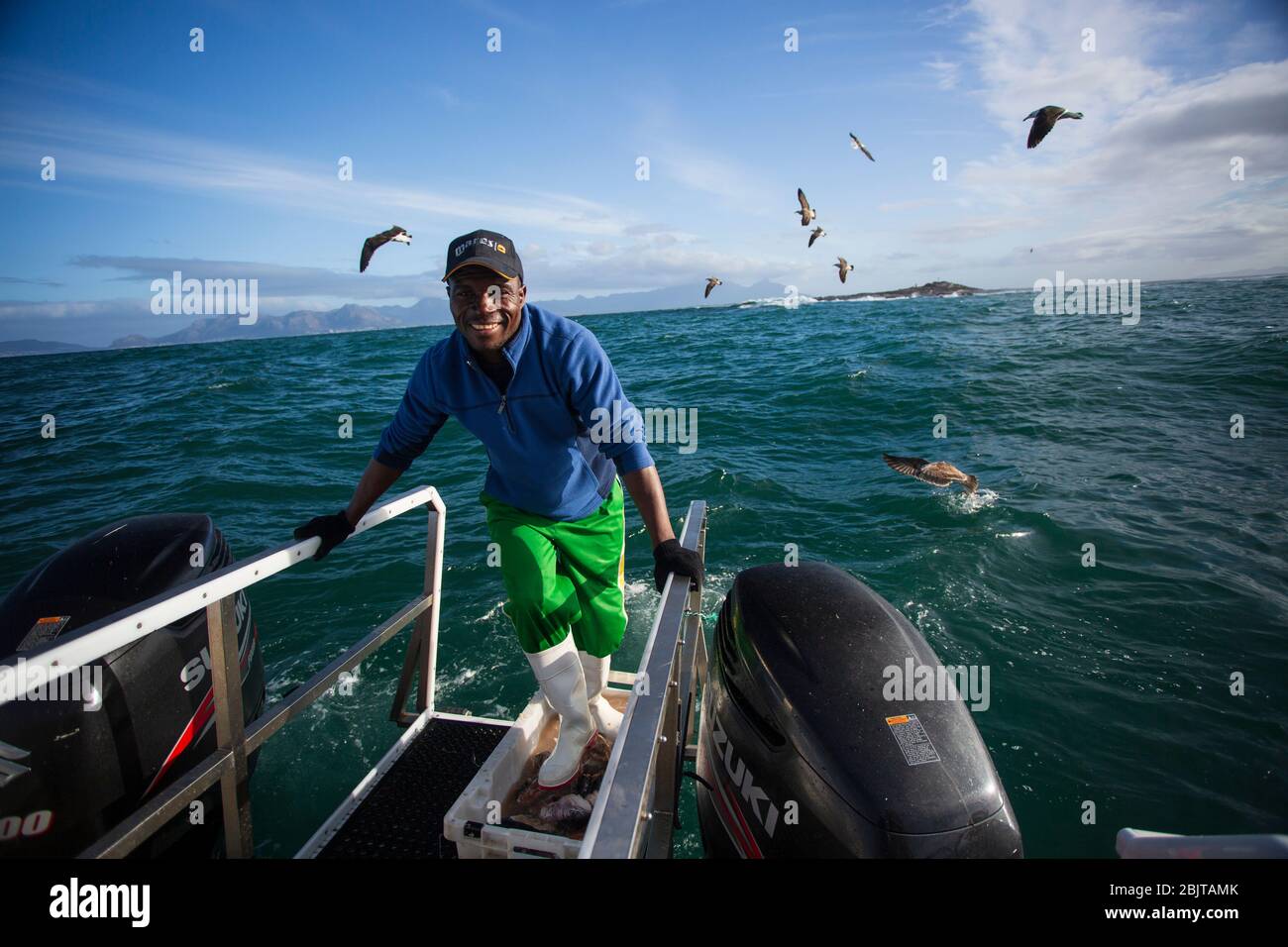 Pêcheur préparant CHUM pour la plongée en cage, avec de grands requins blancs, Afrique du Sud Banque D'Images