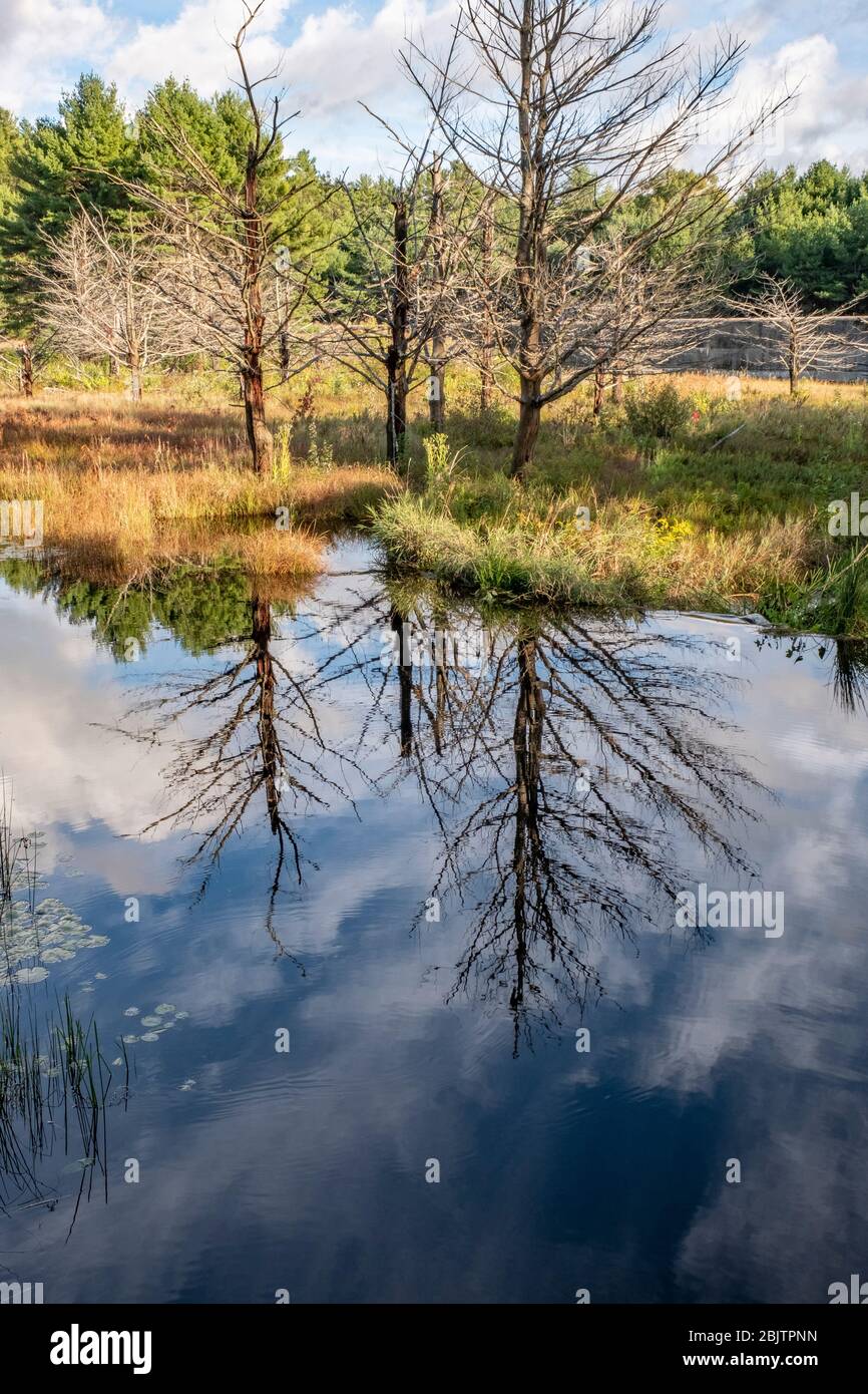 La réserve de barrage de Birch Hill à Royalston, Massachusetts Banque D'Images