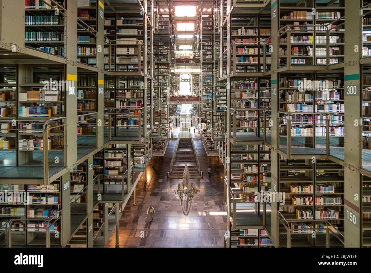 Massive (38 000 mètres carrés ou 409 000 pieds carrés) Bibliothèque Biblioteca Vasconcelos Mexico, Mexique Banque D'Images