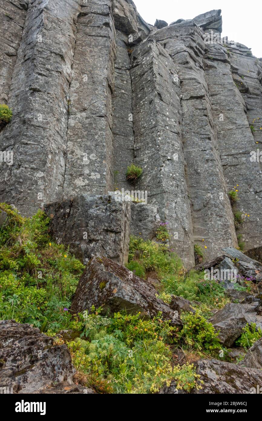 Les falaises de Gerðuberg (Gerduberg) est une falaise de dolerite, une roche de basalte à grain grossier, située sur la péninsule ouest de Snæfellsnes, en Islande. Banque D'Images