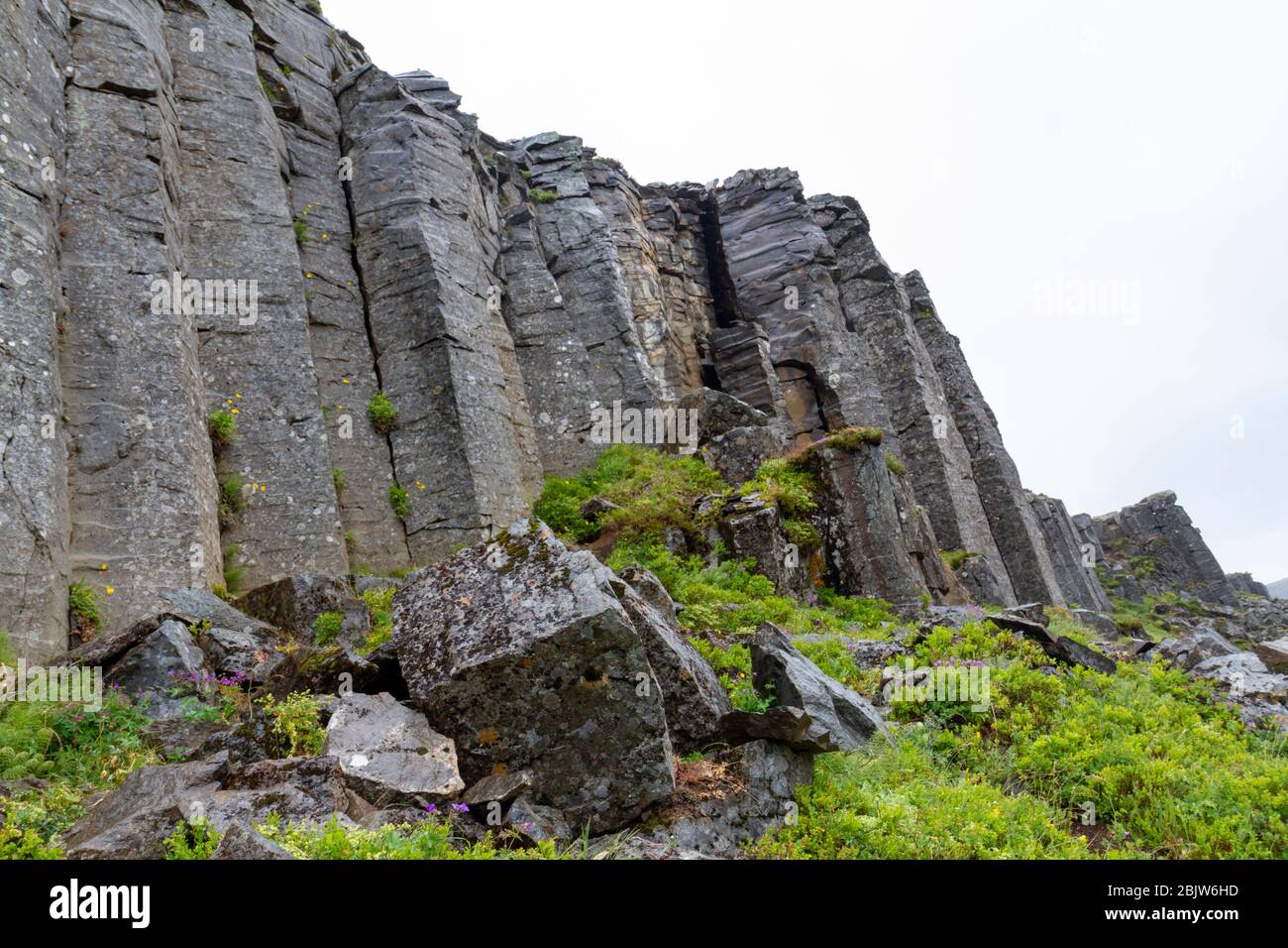 Les falaises de Gerðuberg (Gerduberg) est une falaise de dolerite, une roche de basalte à grain grossier, située sur la péninsule ouest de Snæfellsnes, en Islande. Banque D'Images