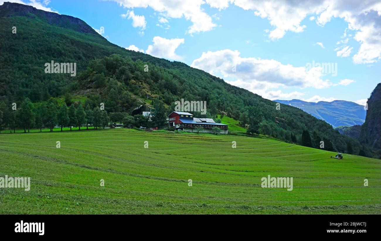 Une ferme au milieu du paysage de montagne. Sur la distance, un tracteur travaille dans le champ Banque D'Images
