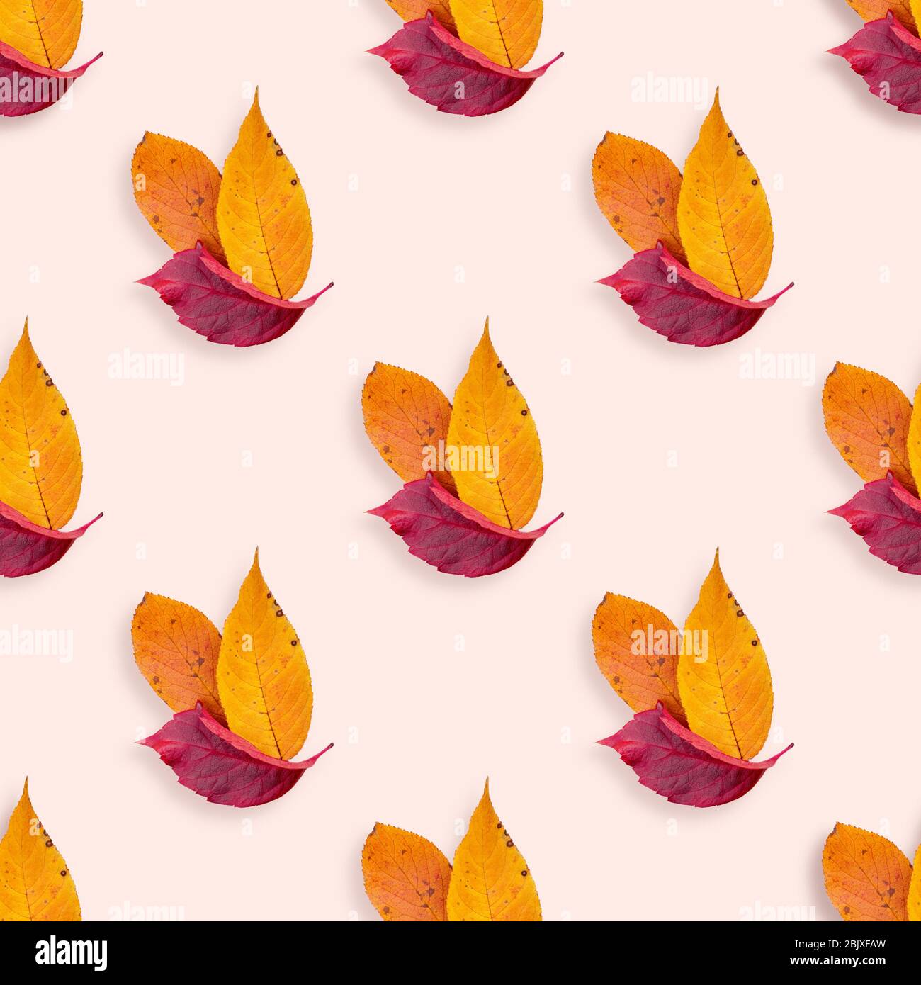 Motif automne sans couture à partir de feuilles de chute rouges et orange sur fond beige. Arrière-plan tendance avec vue sur le dessus Banque D'Images