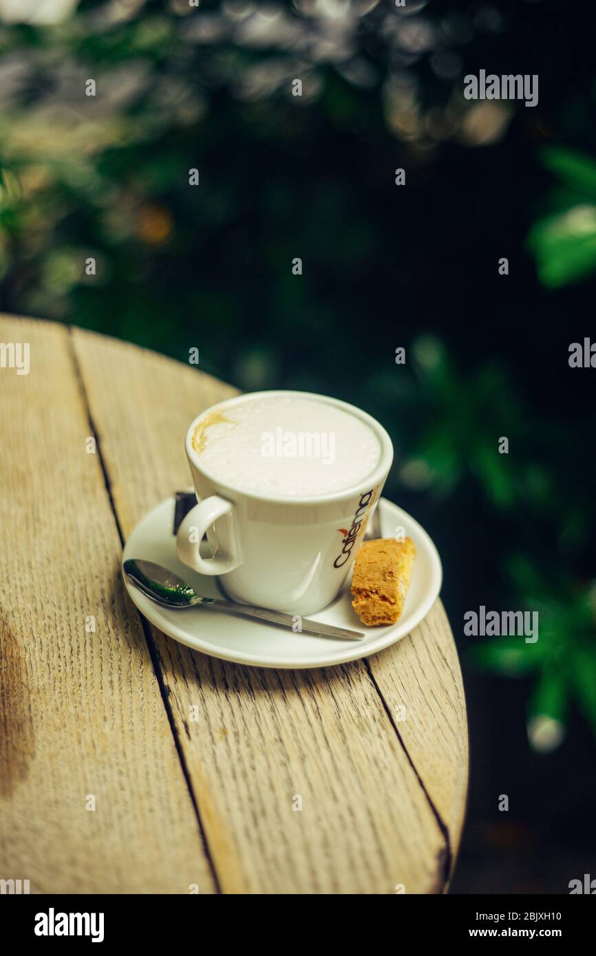 Tasse de lait sur table ronde en bois dans le jardin avec fond vert. Concept bio-alimentaire sain traditionnel. Banque D'Images