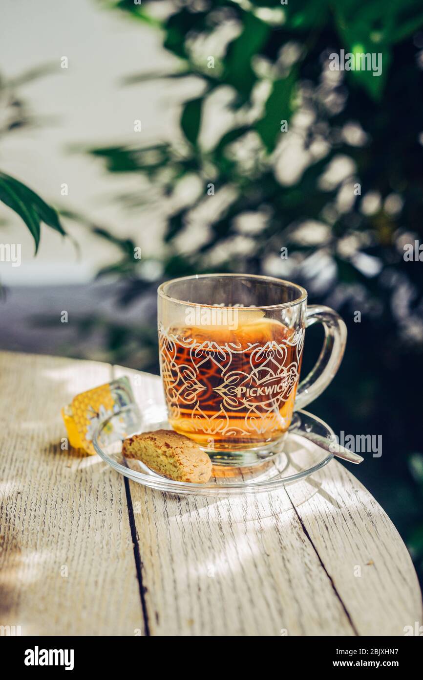 Tasse de thé chaud en verre. Miel, biscuit à biscuits, cuillère à café. Installé sur une table ronde en bois à l'extérieur dans le jardin avec des fleurs. Fond feué. Banque D'Images