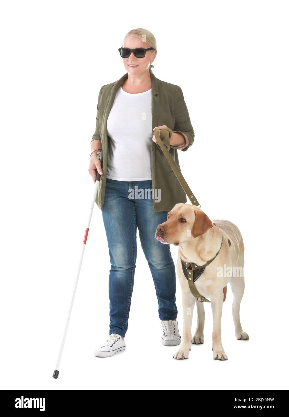 Blind woman chien-guide sur fond blanc Banque D'Images