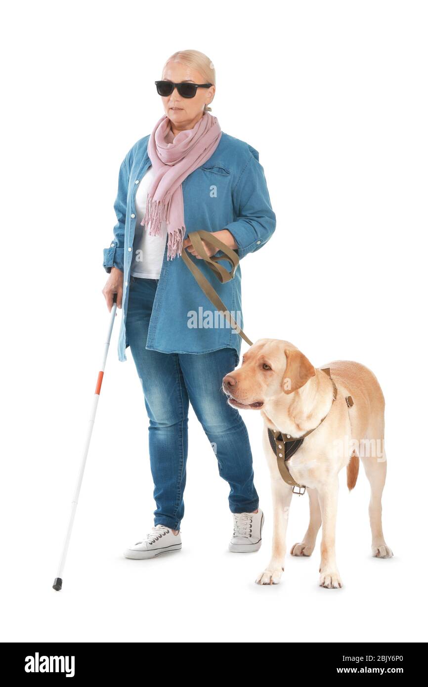 Blind woman chien-guide sur fond blanc Banque D'Images