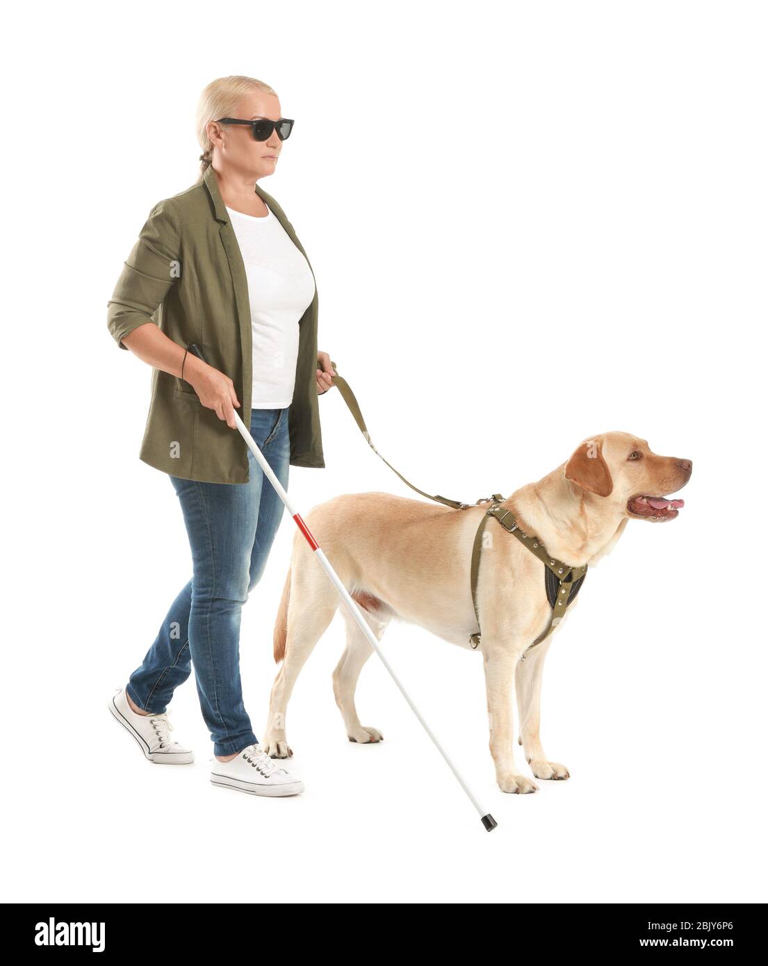 Blind woman chien-guide sur fond blanc Banque D'Images