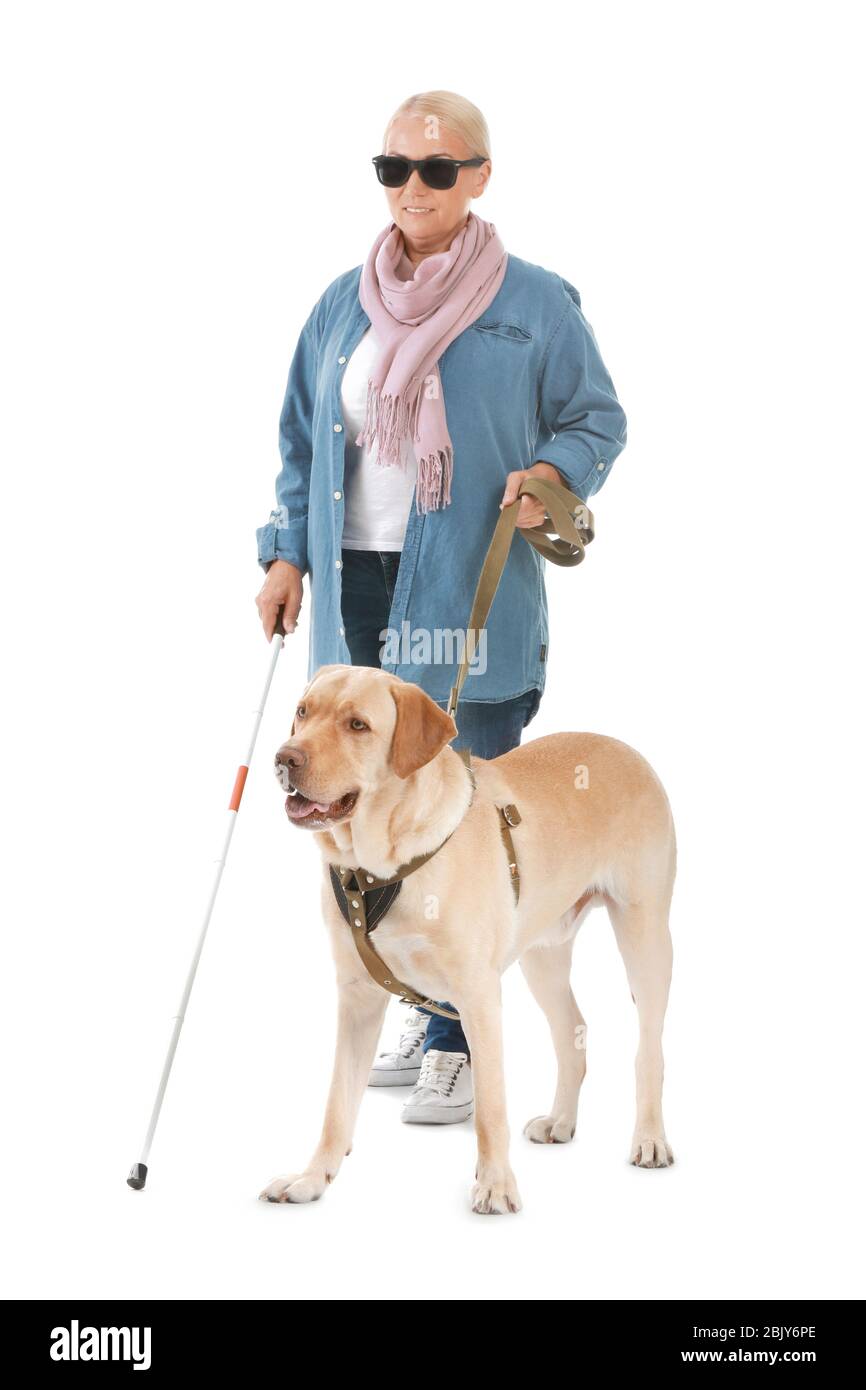Blind woman chien-guide sur fond blanc Banque D'Images
