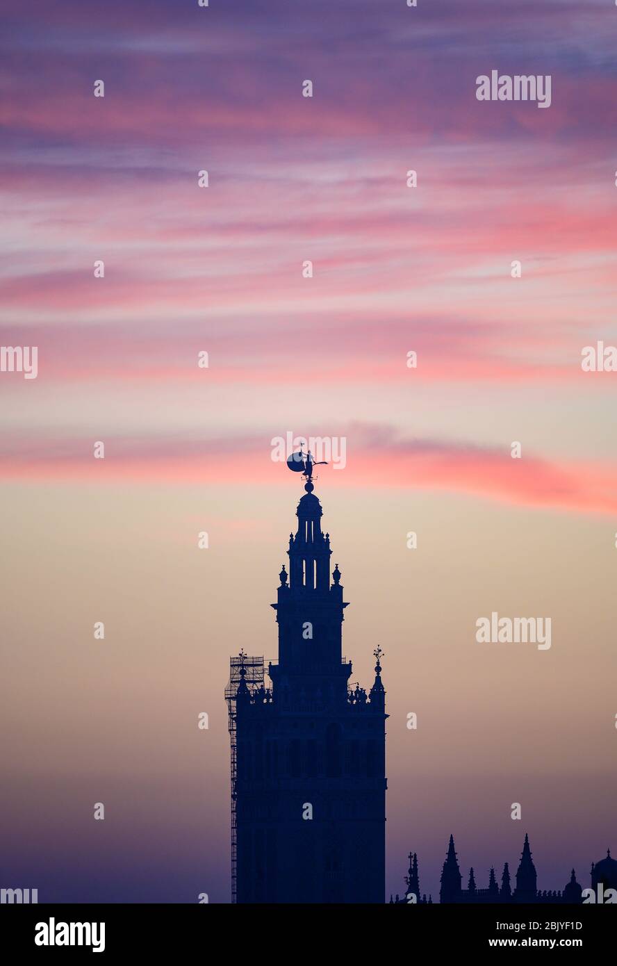 VUE SUR LA TOUR GIRALDA, SITE CLASSÉ AU PATRIMOINE MONDIAL DE L'UNESCO, SÉVILLE, ANDALOUSIE, ESPAGNE Banque D'Images