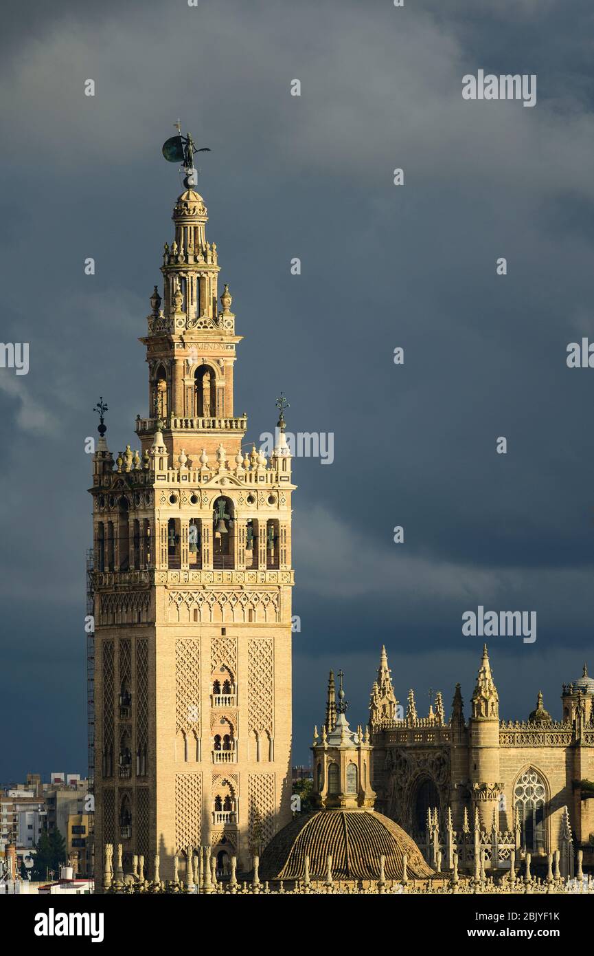 VUE SUR LA TOUR GIRALDA ET LA CATHÉDRALE DE SÉVILLE, SITE CLASSÉ AU PATRIMOINE MONDIAL DE L'UNESCO, SÉVILLE, ANDALOUSIE, ESPAGNE Banque D'Images