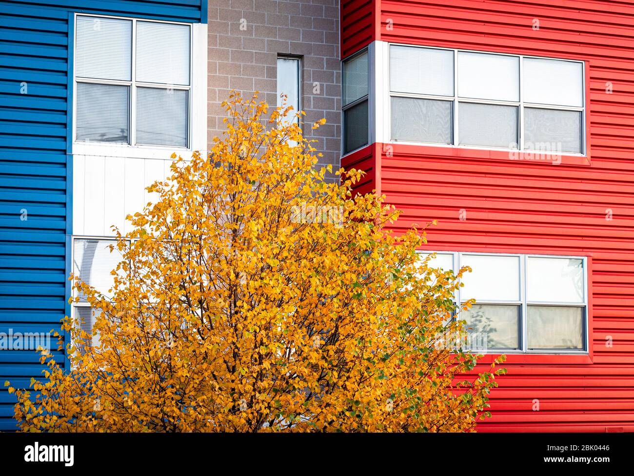 Couleurs primaires dans le quartier des arts Rino de Denver, Denver, Colorado, États-Unis. Banque D'Images
