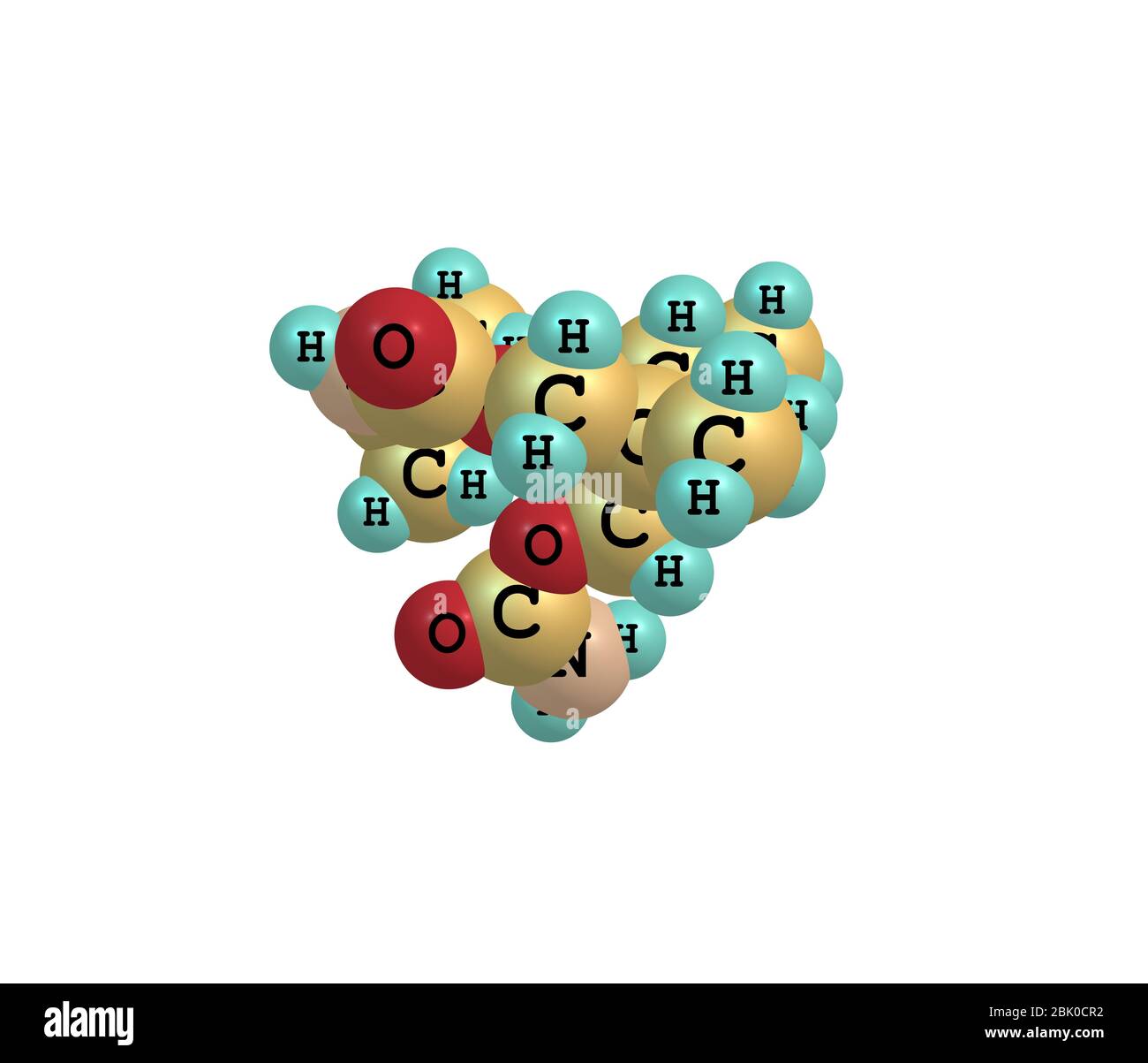 Carisoprodol est un relaxant central du muscle squelettique. Il est légèrement soluble dans l'eau et librement soluble dans l'alcool, le chloroforme et l'acétone Banque D'Images