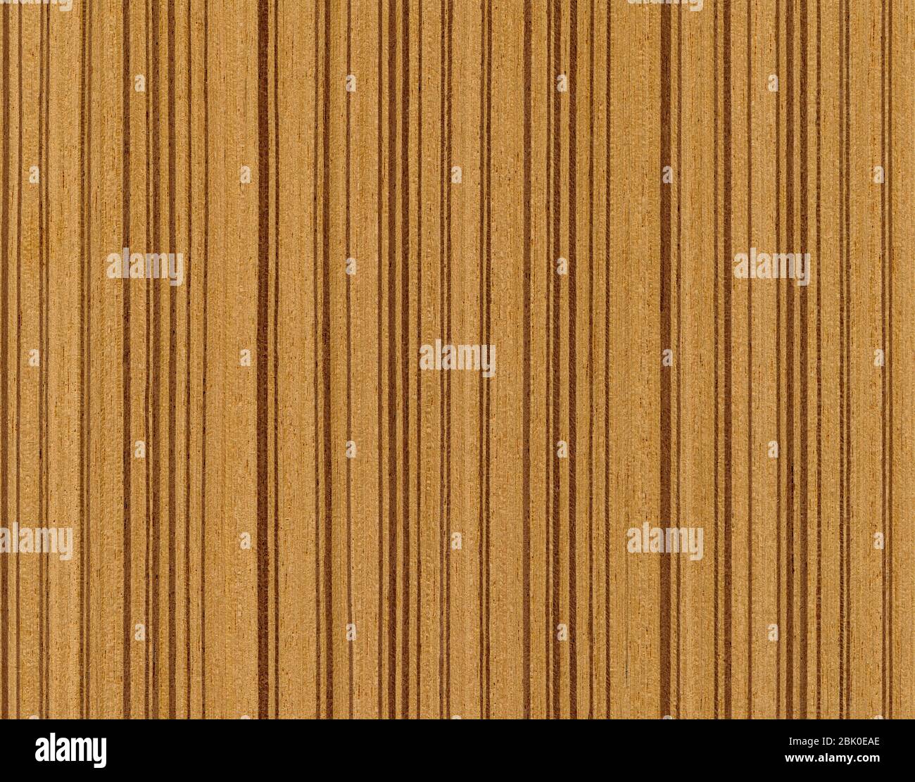 Texture du grain de bois. Bois d'olive, peut être utilisé comme fond, motif de fond Banque D'Images