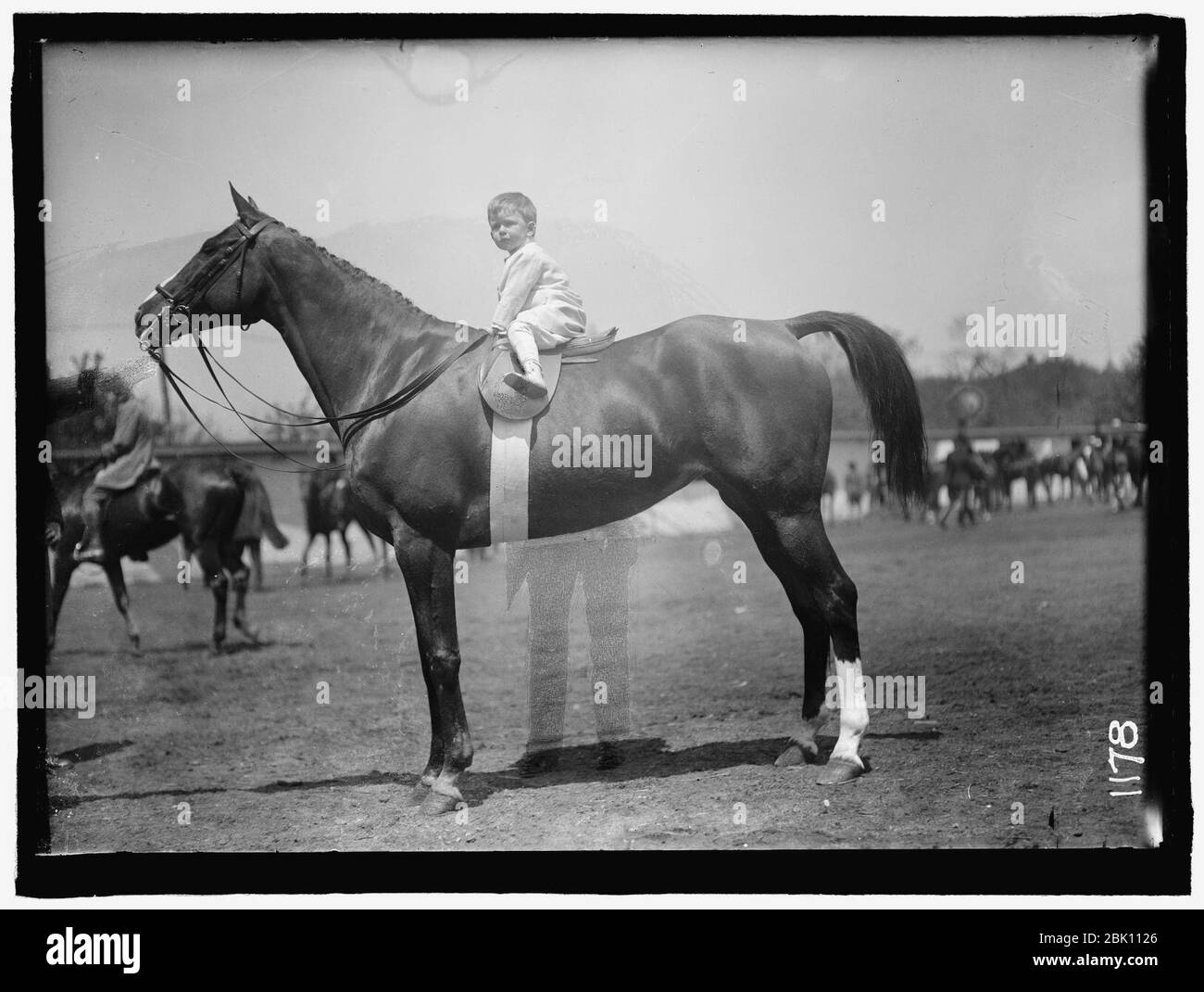 Spectacles de chevaux. BABY VINCENT McLEAN sur 'fleur' INDIEN Banque D'Images