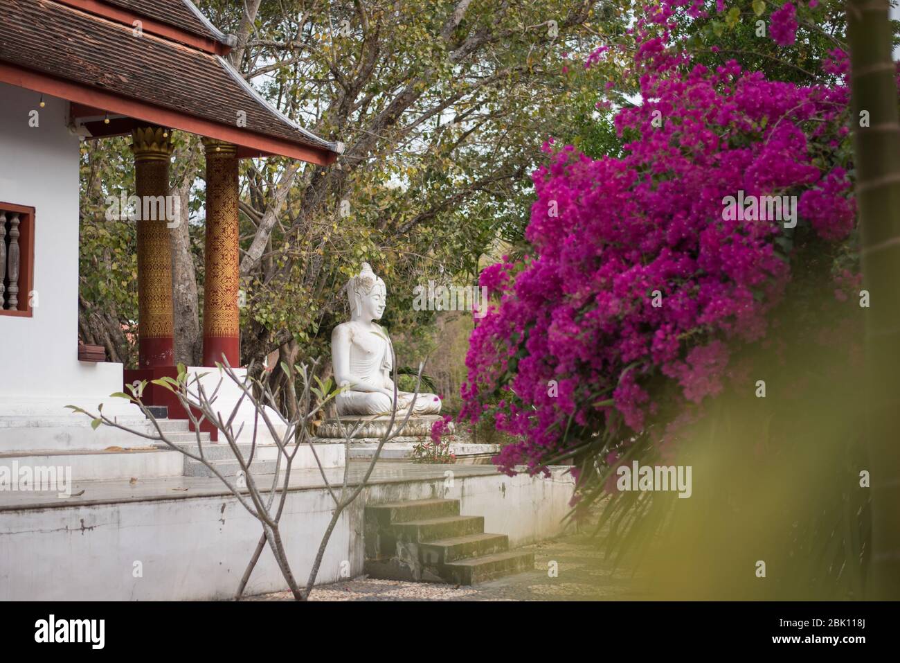 Statue de bouddha blanc au Wat Kok PAB à Luang Prabang, Laos. Banque D'Images