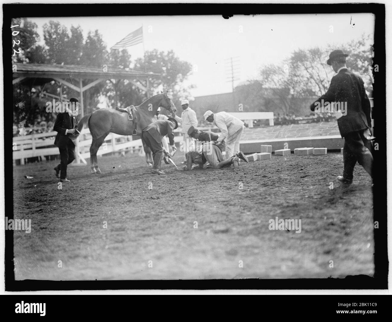 Spectacles de chevaux. VICTOR MATHER RELEVANT DE 'Groupes' KIN Banque D'Images