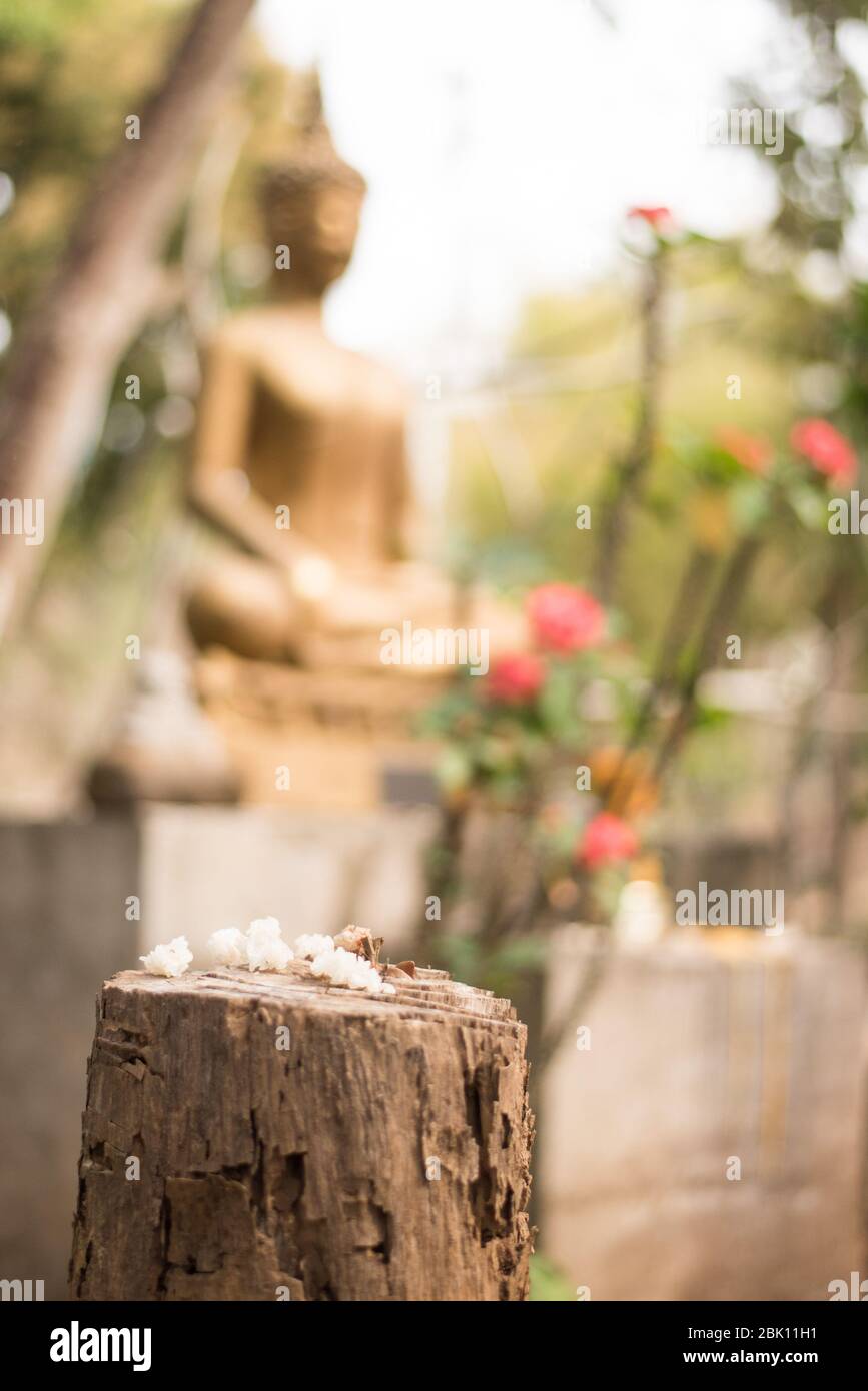Les ancêtres offrant du riz avec une statue de bouddha dorée méditant en arrière-plan à Wat Kok PAB à Luang Prabang, au Laos Banque D'Images