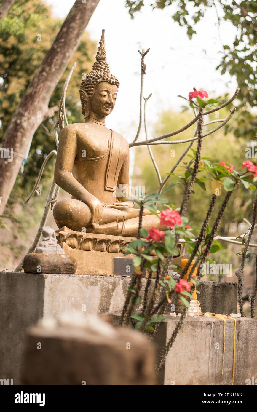 Statue de bouddha dorée méditant à Wat Kok PAB à Luang Prabang, au Laos, entourée de « money Trees » Banque D'Images