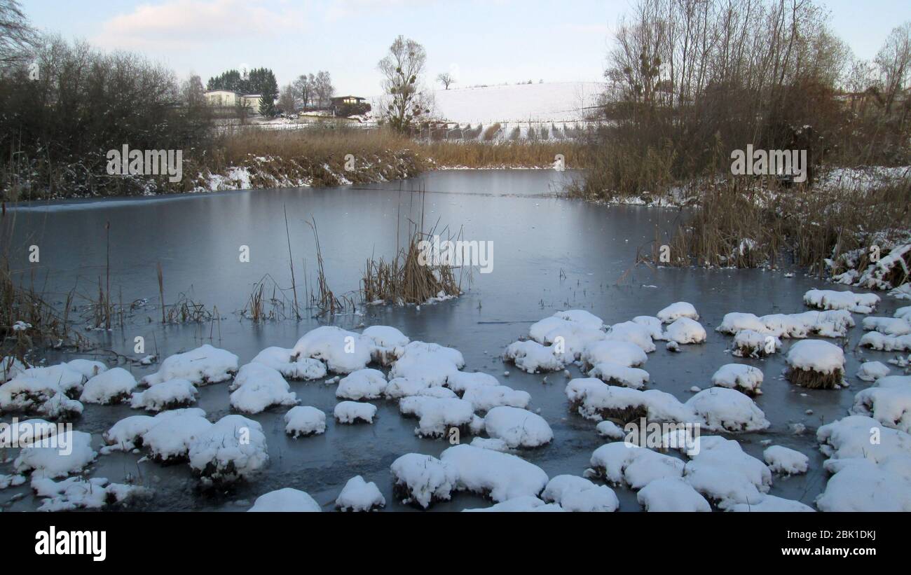 étang et marais à Poisy sous la neige, savoie, france Banque D'Images