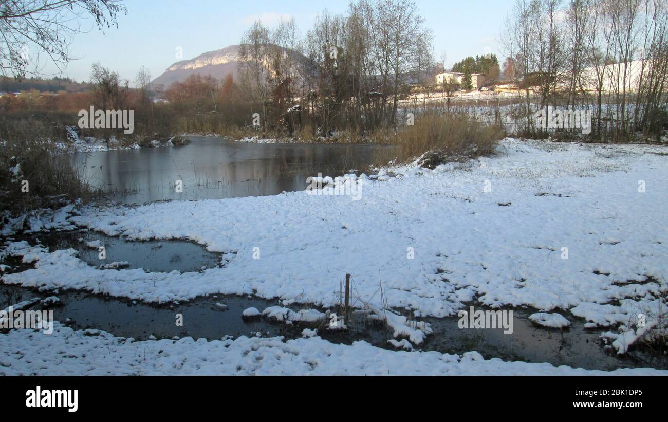 étang et marais à Poisy sous la neige, savoie, france Banque D'Images