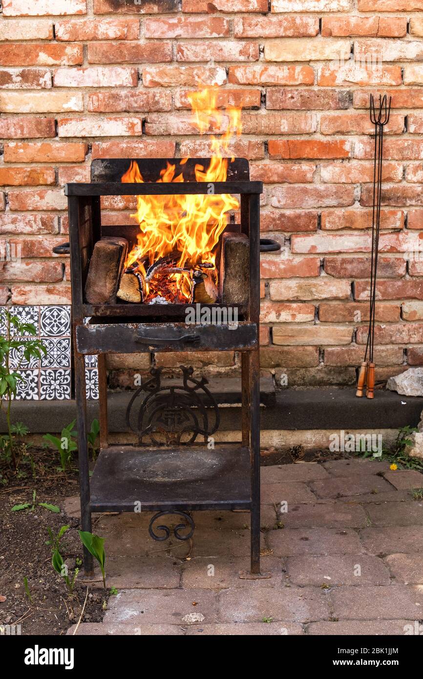 Grille métallique rouillée. Brûlez des grumes dans un barbecue. Feu ouvert. Arbre de combustion