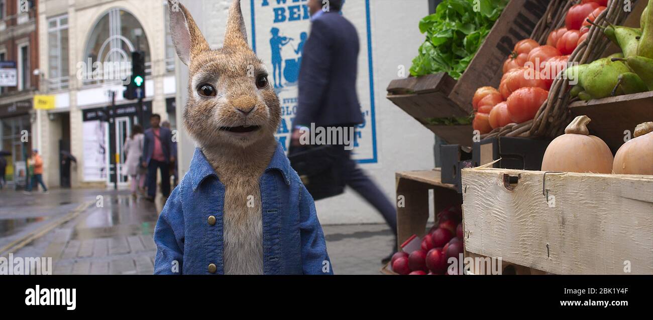 DATE DE SORTIE: Janvier 2021 TITRE: Peter Rabbit 2: The Runaway STUDIO: Sony Pictures animation DIRECTOR: Wera Gluck PLOT: Thomas et Bea sont maintenant mariés et vivent avec Peter et sa famille de lapins. Ennuyé de la vie dans le jardin, Peter va à la grande ville, où il rencontre des personnages ombragés et finit par créer le chaos pour toute la famille. AVEC: Peter Rabbit exprimé par James Corden. (Image de crédit : © Sony Pictures animation/Entertainment Pictures) Banque D'Images