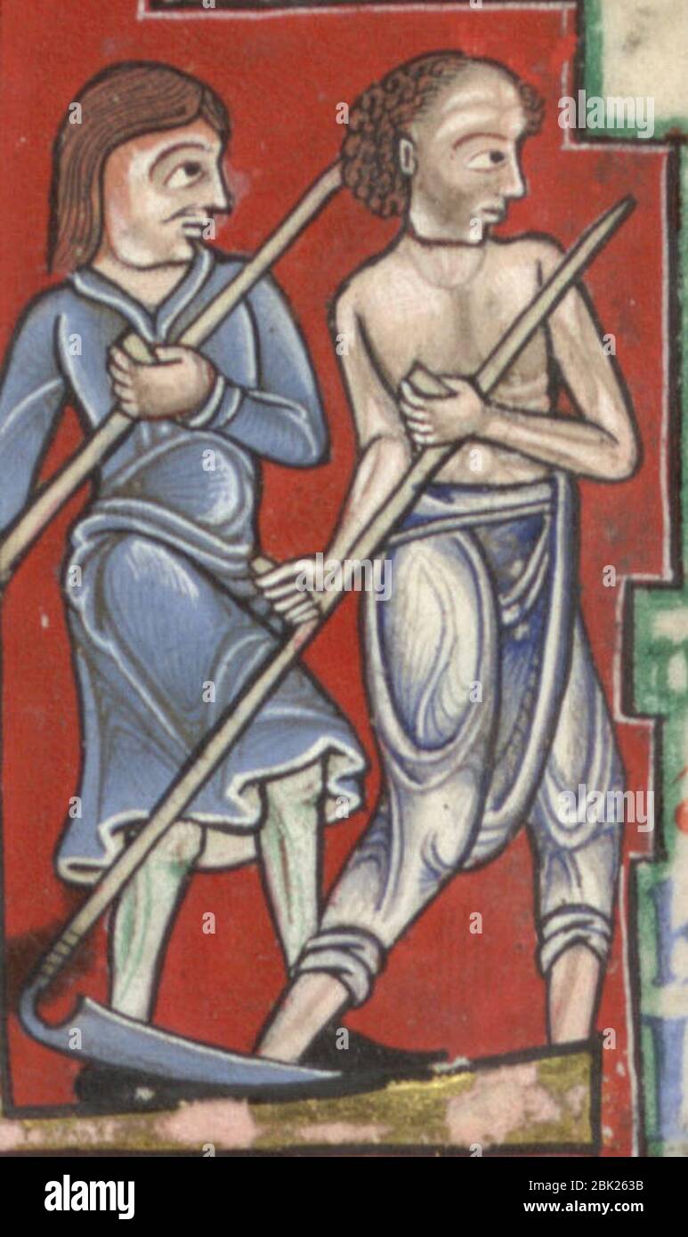 Psaume Huntérien c. 1170 fourrage de remorquage. Banque D'Images