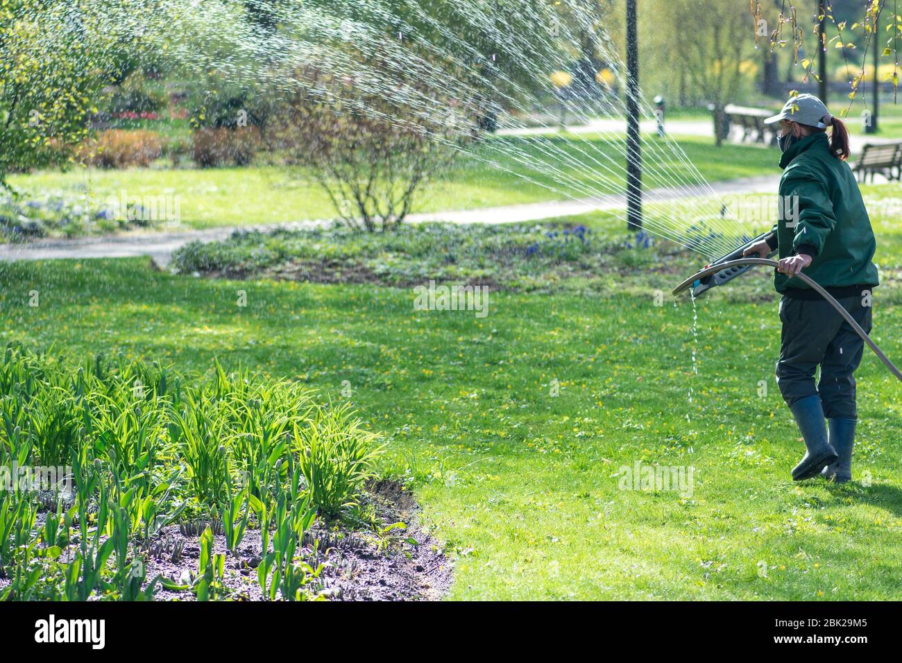 Fille arrosant des fleurs avec un système d'irrigation automatique équipement arrosage de jardin outil Banque D'Images