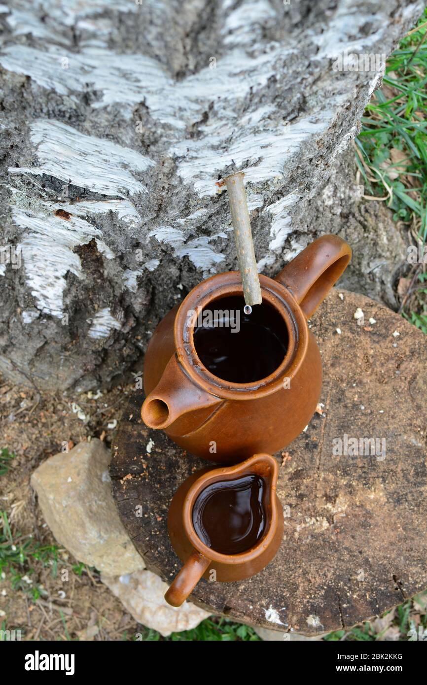 Le jus de detox de printemps de bouleau s'enstrant à l'aide d'un tube plus ancien et de carafes en céramique, plus petit un plein de jus, vue du dessus Banque D'Images