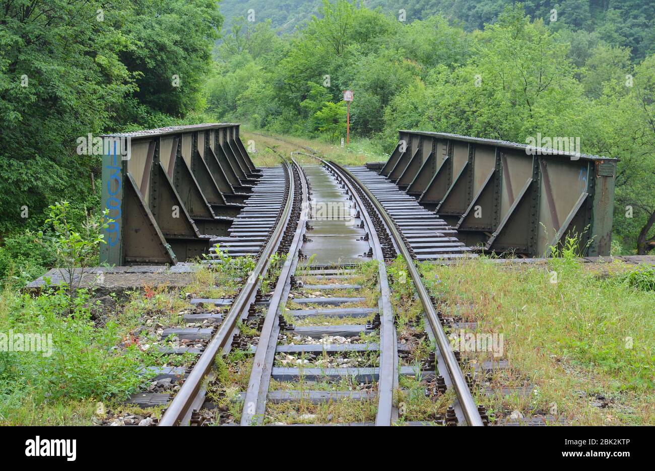 Voies ferrées et petit pont de fer sur la tranchée à Ibar george, humide après de fortes pluies printanières, contre un arrière-plan luxuriant de végétation printanière Banque D'Images