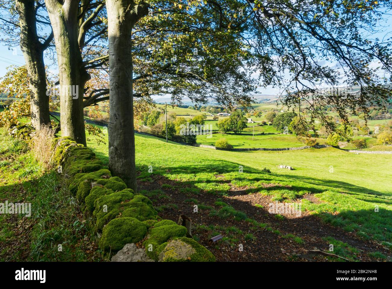 Wensleydale couleurs d'automne, près du village d'Aysgarth, Yorkshire, Angleterre, Royaume-Uni Banque D'Images