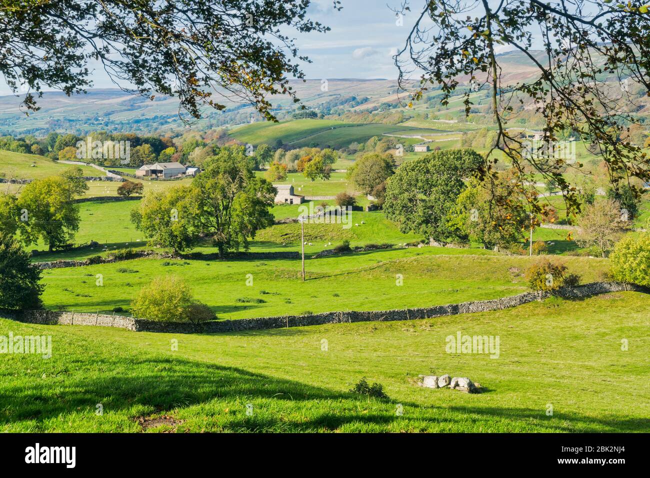 Wensleydale couleurs d'automne, près du village d'Aysgarth, Yorkshire, Angleterre, Royaume-Uni Banque D'Images