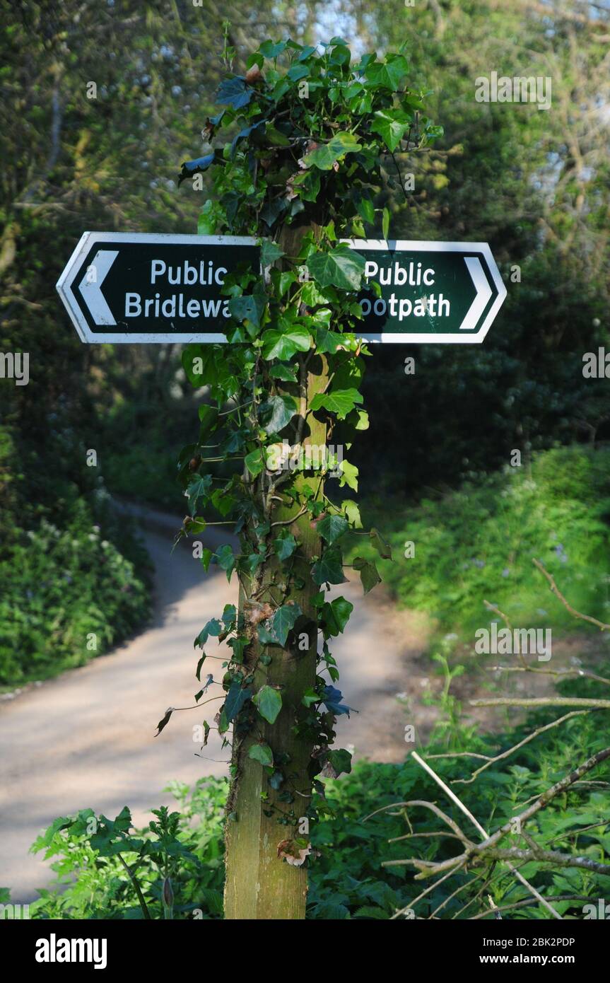 Sentier public et panneau public Bridleway sur une ligne Cornish. Les sentiers sont réservés aux randonneurs uniquement - les pistes peuvent également être utilisées par les cavaliers et les cyclistes Banque D'Images