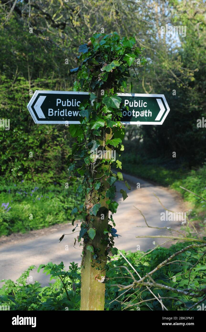 Sentier public et panneau public Bridleway sur une ligne Cornish. Les sentiers sont réservés aux randonneurs uniquement - les pistes peuvent également être utilisées par les cavaliers et les cyclistes Banque D'Images