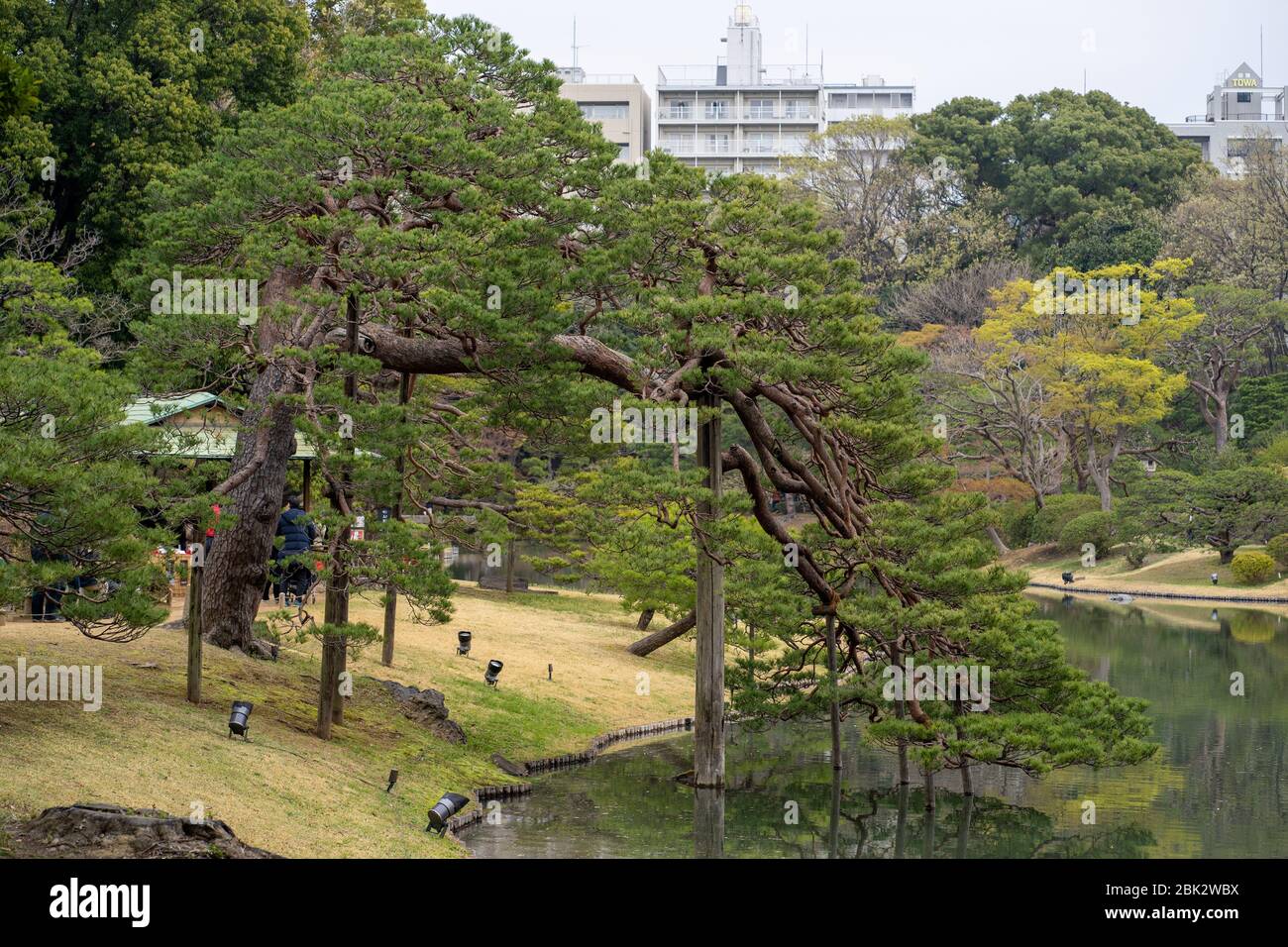 Jardin Rikugien (jardin de six poèmes), magnifique jardin de style japonais à Tokyo, Japon Banque D'Images