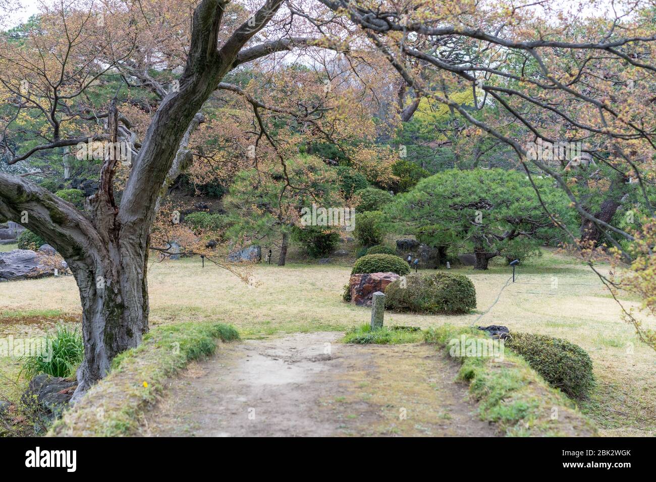 Jardin Rikugien (jardin de six poèmes), magnifique jardin de style japonais à Tokyo, Japon Banque D'Images