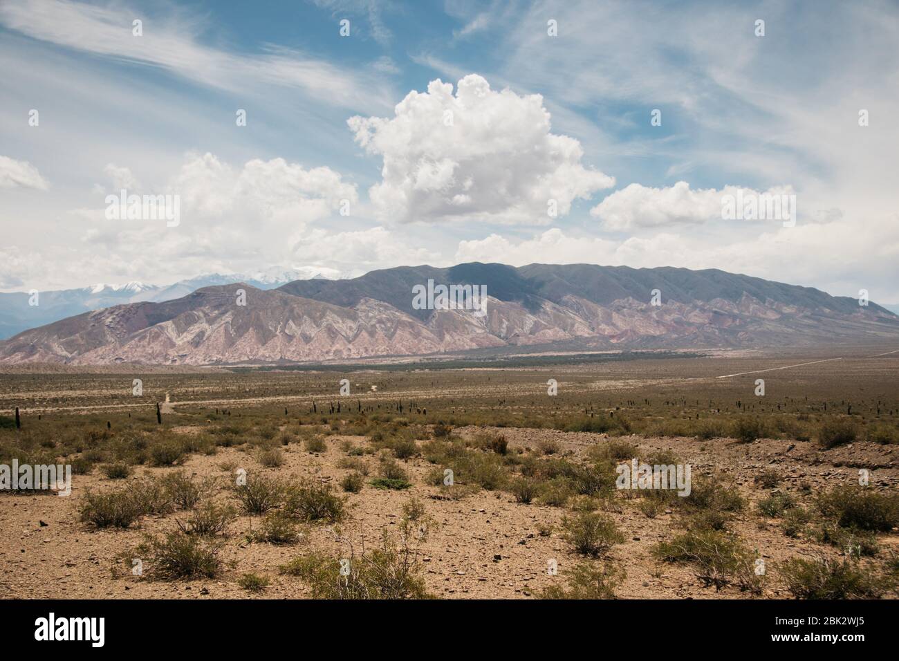 Parque Nacional de los cardones, Argentine Banque D'Images