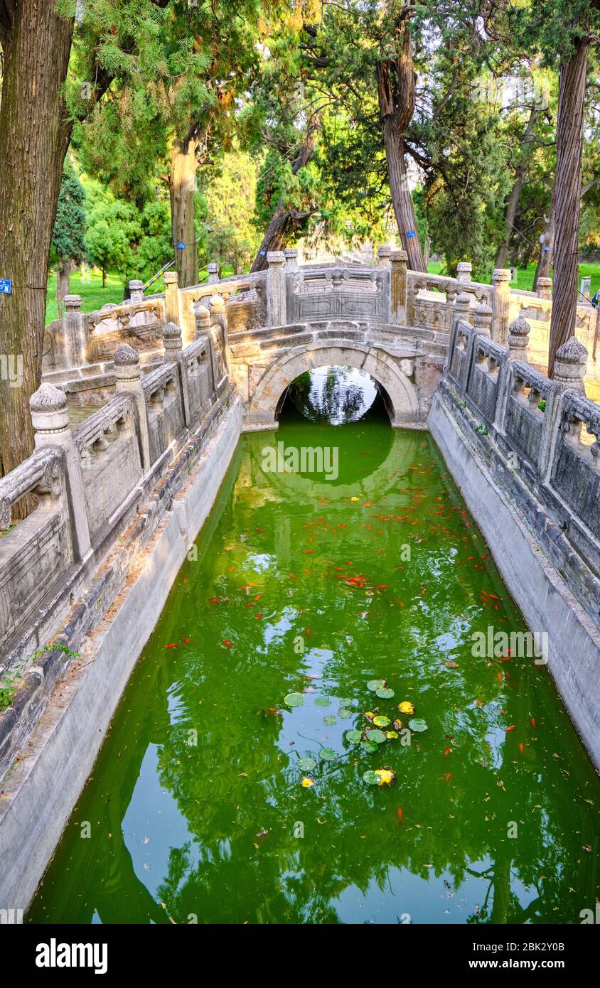 Jardin chinois traditionnel au Temple de Confucius, site du patrimoine mondial de l'UNESCO à Qufu, province de Shandong, Chine Banque D'Images