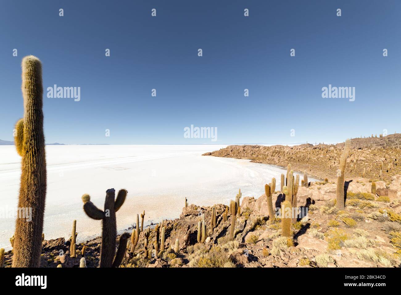 Île d'Incahuasi (île de Cactus) située sur Salar de Uyuni, la plus grande surface de sel au monde, en Bolivie Banque D'Images