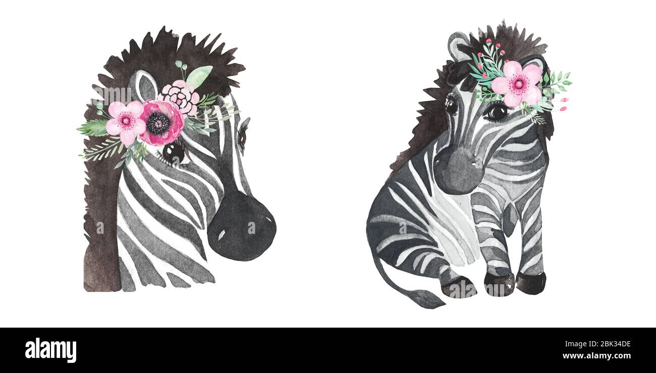 Afrique Aquarelle Animaux Zebre Clipart Jeu D Animaux Mignons Peints A La Main Parfait Pour L Impression Papier Peint Emballage Invitations Bebe Motifs Douche Logo Photo Stock Alamy