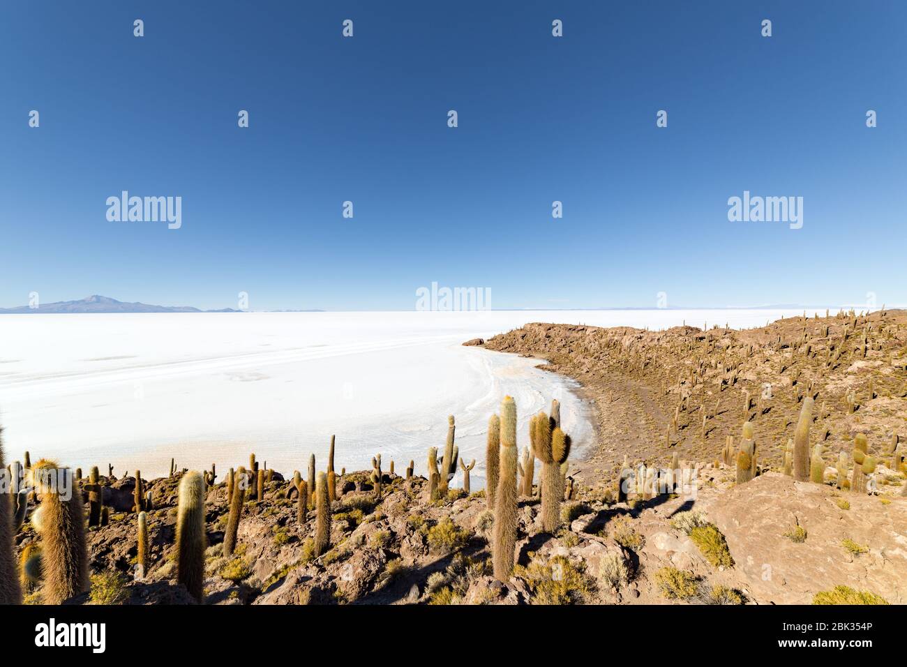 Île d'Incahuasi (île de Cactus) située sur Salar de Uyuni, la plus grande surface de sel au monde, en Bolivie Banque D'Images