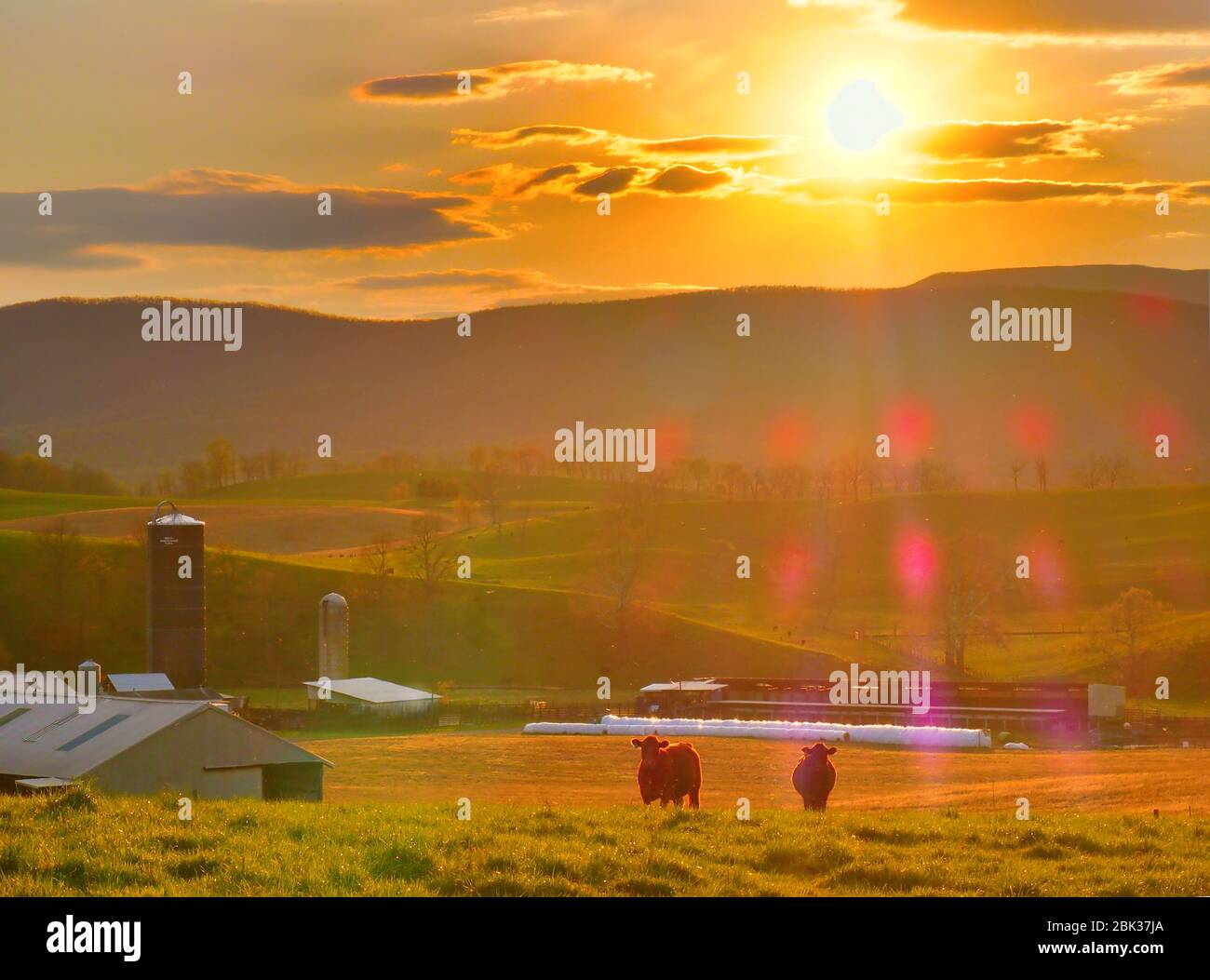 Ferme à Swoope, Shenandoah, Valley, Virginie, États-Unis Banque D'Images