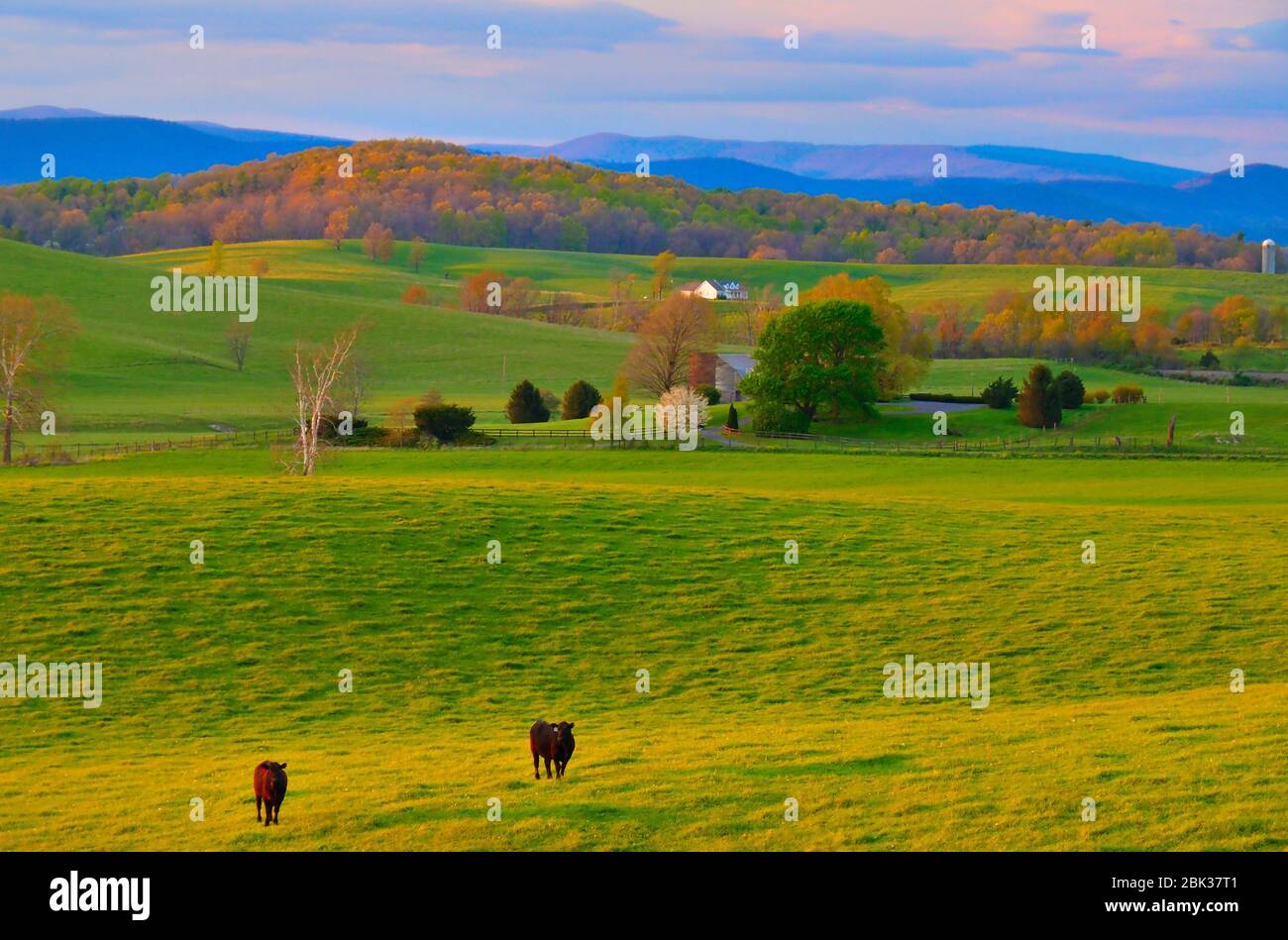 Ferme à Swoope, Shenandoah, Valley, Virginie, États-Unis Banque D'Images